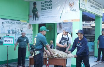 BAZNAS Kabupaten Bandung Adakan Kurban Berkah dari BAZNAS RI dan Kaum Muslimin